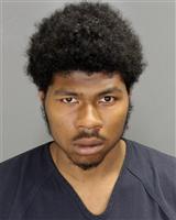 RAYVEN  BIBBS Mugshot / Oakland County MI Arrests / Oakland County Michigan Arrests