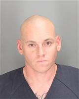 JOSHUA MICHAEL DONOHUE Photo / JOSHUA MICHAEL DONOHUE Images