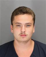 DOMINIC LEVEQUE CHIESA Mugshot / Oakland County MI Arrests / Oakland County Michigan Arrests