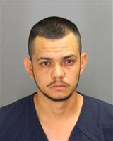 FRANCISCO  NAVA Mugshot / Oakland County MI Arrests / Oakland County Michigan Arrests