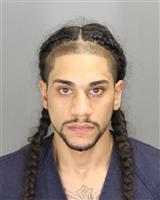 JOSIAN MIGUEL CASTRO Mugshot / Oakland County MI Arrests / Oakland County Michigan Arrests