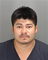 BALMORE DEJESUS CASTILLOMEJIA Mugshot / Oakland County MI Arrests / Oakland County Michigan Arrests