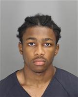 DEON RAPHAEL JOHNSON Mugshot / Oakland County MI Arrests / Oakland County Michigan Arrests