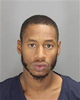 MARTIN FRITZGERALD GISSTENNAL Mugshot / Oakland County MI Arrests / Oakland County Michigan Arrests