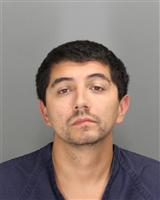PETER  LEIJA Mugshot / Oakland County MI Arrests / Oakland County Michigan Arrests