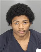 TYSON JOSEPH KNIGHT Photo / TYSON JOSEPH KNIGHT Images