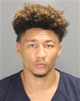 SEAN JACQUEANDRE WILLIAMS Photo / SEAN JACQUEANDRE WILLIAMS Images