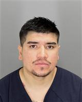 FELIPE  ROBLES Photo / FELIPE  ROBLES Images