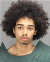 SHAWN EUGENE LAWRENCE Photo / SHAWN EUGENE LAWRENCE Images