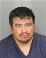 RUBEN ALICEA RODRIGUEZ Photo / RUBEN ALICEA RODRIGUEZ Images