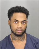 DESEAN DAMONDEON WILSON Photo / DESEAN DAMONDEON WILSON Images