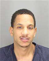 BRANDON ANTHONY MARTIN Photo / BRANDON ANTHONY MARTIN Images