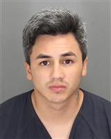 PAULO FELIPE PENAECHEVERRIA Mugshot / Oakland County MI Arrests / Oakland County Michigan Arrests