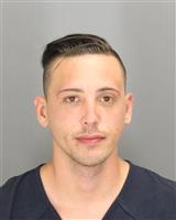ALEX JOHN LESNIAK Mugshot / Oakland County MI Arrests / Oakland County Michigan Arrests