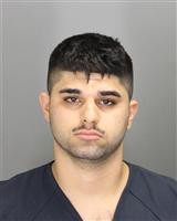 SARGON ROMEN GEORGIS Mugshot / Oakland County MI Arrests / Oakland County Michigan Arrests