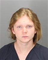 PATRIK  HAVEL Mugshot / Oakland County MI Arrests / Oakland County Michigan Arrests