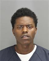 KYLE LEE HARRIS Photo / KYLE LEE HARRIS Images