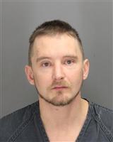 MICHAEL ANTHONY VILLENEUVE Mugshot / Oakland County MI Arrests / Oakland County Michigan Arrests