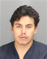 EUSEBIO EMANUEL AVILESTREJOS Photo / EUSEBIO EMANUEL AVILESTREJOS Images