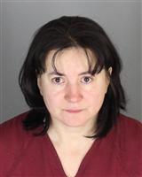 SANJA  BERILAZIC Mugshot / Oakland County MI Arrests / Oakland County Michigan Arrests