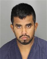 JAVIER  REBOLLEDO Photo / JAVIER  REBOLLEDO Images