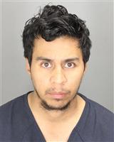 RAFAEL DELA TORRE Photo / RAFAEL DELA TORRE Images