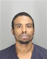 STEPHEN ANTHONY HENRY Photo / STEPHEN ANTHONY HENRY Images