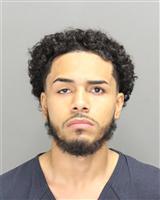 LUISMIGUEL DEJESUS ESTRADA Mugshot / Oakland County MI Arrests / Oakland County Michigan Arrests