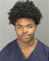 ISAIAH MEKELE HOLLIS Photo / ISAIAH MEKELE HOLLIS Images