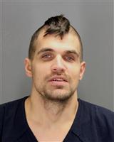 NATHAN DOUGLAS COWAN Mugshot / Oakland County MI Arrests / Oakland County Michigan Arrests