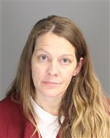 SARAH JANE VANASSCHE Mugshot / Oakland County MI Arrests / Oakland County Michigan Arrests