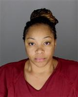 KRISTIN MARIE WARREN Mugshot / Oakland County MI Arrests / Oakland County Michigan Arrests