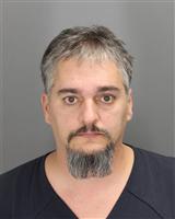 DAVID EDWARD ROYAL PFENNING Mugshot / Oakland County MI Arrests / Oakland County Michigan Arrests
