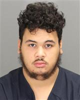 KEVIN ORLANDO CASTILLO Photo / KEVIN ORLANDO CASTILLO Images