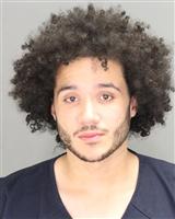 JOVON MARQUIN SNYDER Mugshot / Oakland County MI Arrests / Oakland County Michigan Arrests