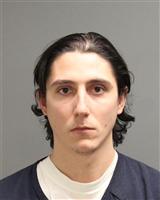 BRANDON MICHAEL RICE Mugshot / Oakland County MI Arrests / Oakland County Michigan Arrests