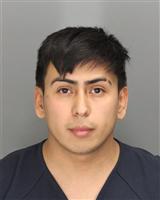 WALKER  FLORESCERDA Mugshot / Oakland County MI Arrests / Oakland County Michigan Arrests