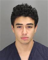 ANDREW JAMES HOLT Photo / ANDREW JAMES HOLT Images