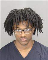 RYAN DASHON JACKSON Photo / RYAN DASHON JACKSON Images