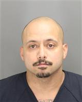 RAPHAEL JUNIOR LLERAS Mugshot / Oakland County MI Arrests / Oakland County Michigan Arrests