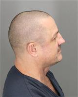 RONNIE WILLIAM MCGREGOR Mugshot / Oakland County MI Arrests / Oakland County Michigan Arrests