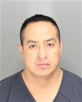 SIMON  PAREDESLUNA Mugshot / Oakland County MI Arrests / Oakland County Michigan Arrests