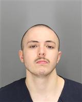 MICHAEL JOSEPH ORTEGA Mugshot / Oakland County MI Arrests / Oakland County Michigan Arrests