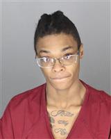 KAYLA DENISE HILL Mugshot / Oakland County MI Arrests / Oakland County Michigan Arrests
