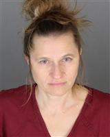 YELENA V BASAMAN Mugshot / Oakland County MI Arrests / Oakland County Michigan Arrests