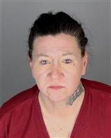 AMY MARIE SNYDER Mugshot / Oakland County MI Arrests / Oakland County Michigan Arrests