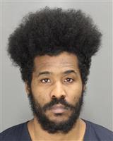 RAYMONTE DARRELL ADAMS Photo / RAYMONTE DARRELL ADAMS Images