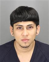 RENE ANIBAL PORTILLOGARCIA Mugshot / Oakland County MI Arrests / Oakland County Michigan Arrests