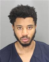 CHRISTIAN DEMARCO GEORGE Mugshot / Oakland County MI Arrests / Oakland County Michigan Arrests
