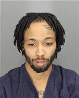 DARYLL ADONIS GRAY Mugshot / Oakland County MI Arrests / Oakland County Michigan Arrests